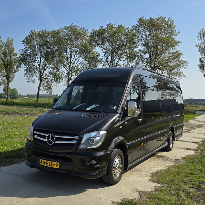 12 person minibus